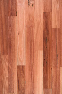 bluegum-regular-boards