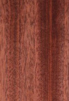 jarrah