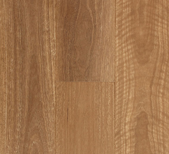 qld-spotted-gum-reviews-0_orig