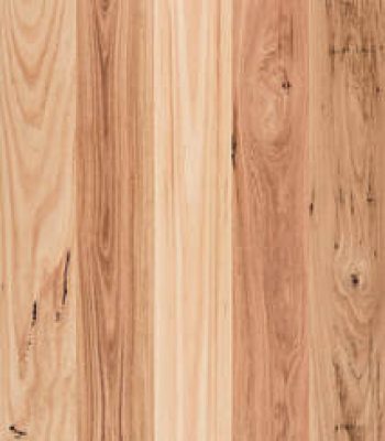 blackbutt-regular-wide-boards
