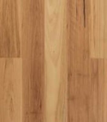 blackbutt_2