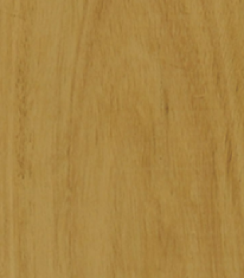 blackbutt_3