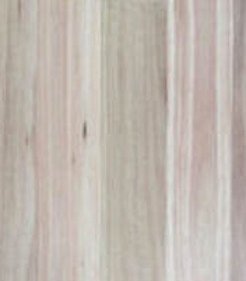 blackbutt_4
