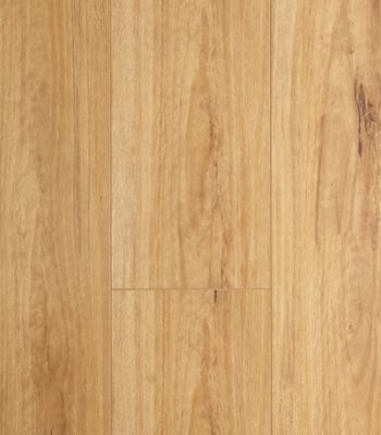 blackbutt_8_orig