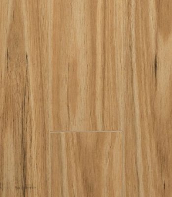 blackbutt_9_orig