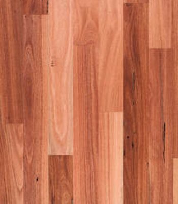bluegum-regular-boards