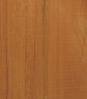 bluegum_1