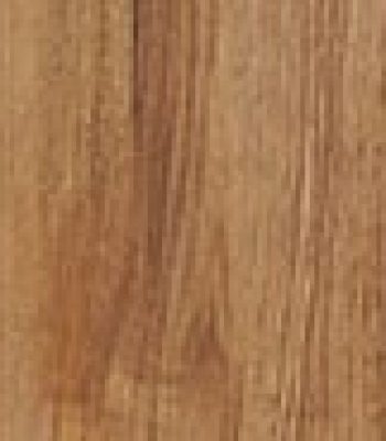 butternut_1_orig