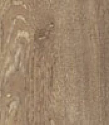 camel_orig