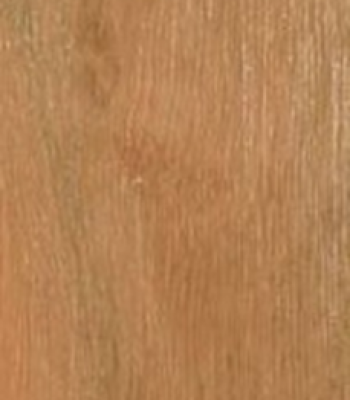 grey-ironbark_2