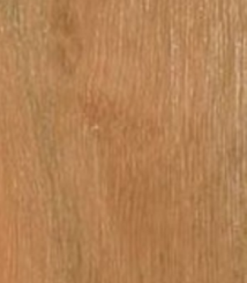 grey-ironbark_3