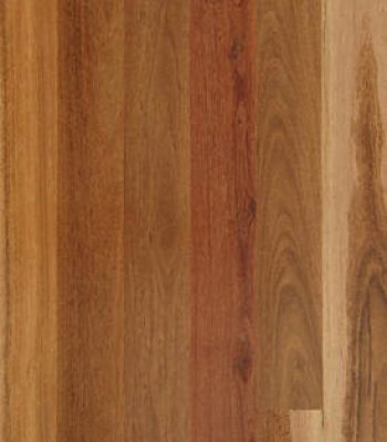 ironbark_1