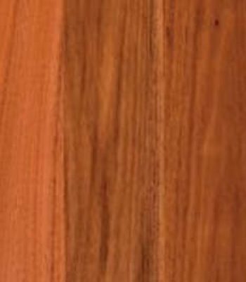 ironbark_2