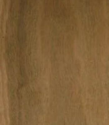 ironbark_3