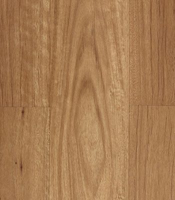 new-england-blackbutt_orig
