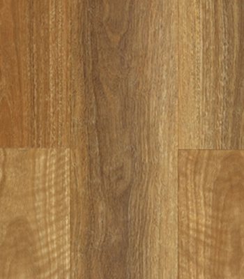 nsw-spotted-gum_orig