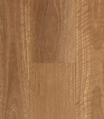 qld-spotted-gum-reviews-0_orig