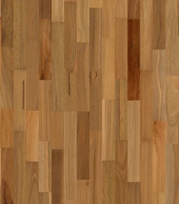 readyflor-spotted-gum-3-strip