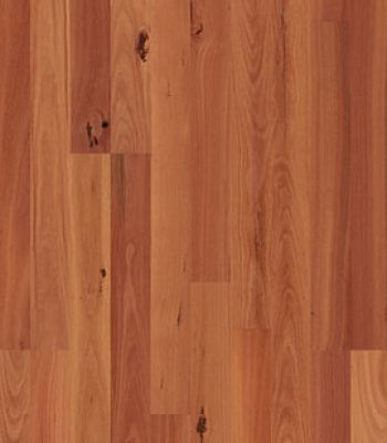 readyflor-sydney-blue-gum-2-strip