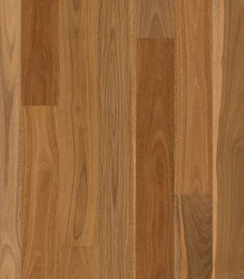 readyflor-xl-spotted-gum-1-strip
