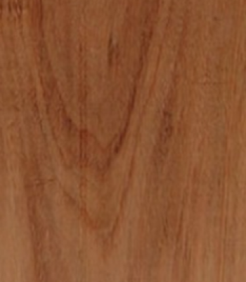 red-ironbark_1