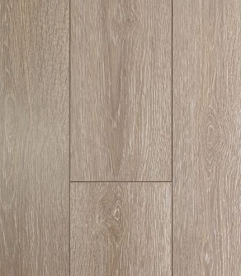 seashell-oak_orig