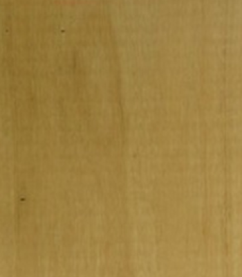 silvertop-stringybark_1