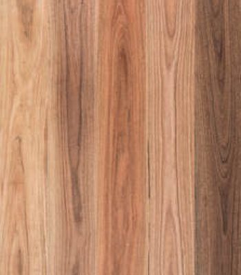 spotted-gum-engineered-hardwood-flooring-boral