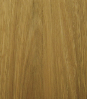 spotted-gum_2