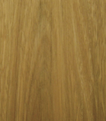 spotted-gum_3