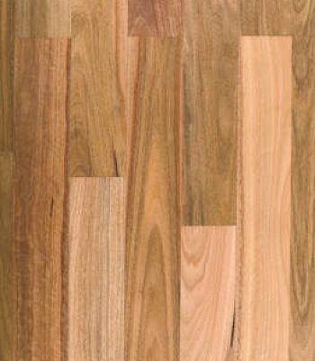 spottedgum
