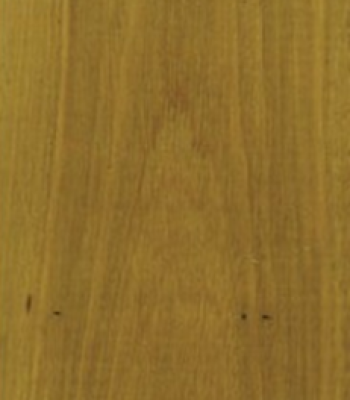 tallowwood_1
