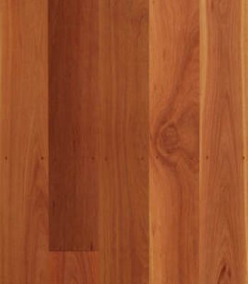 turpentine